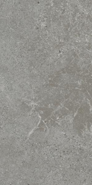 Paradyż Autrim Grey Mat 29,8x59,8 G1