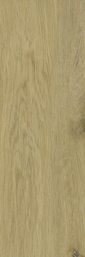 Paradyż Decorwood Gold Gres Szkl. Struktura Mat. 20x60 G1