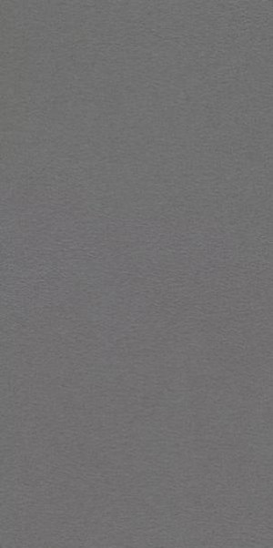 Paradyż Archicross Base Grey  Gres Rekt. Struktura A Mat. 29,8x59,8 G1