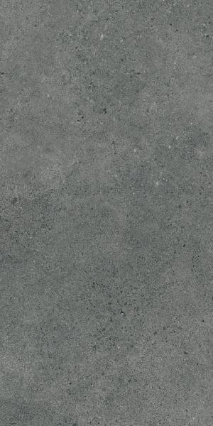 Paradyż Authority Graphite Gres Szkl. Rekt. Mat 59,8x119,8 G1