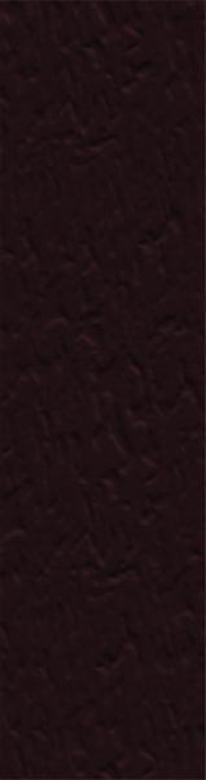 Paradyż Natural Brown Elewacja Duro 24,0x6,5 G1