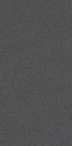 Paradyż Archicross Base Black Gres Rekt. Mat. 29,8x59,8 G1