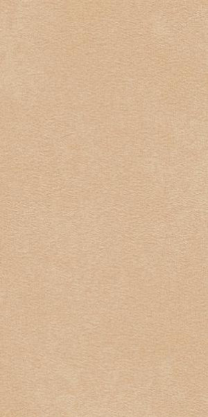 Paradyż Archicross Base Beige Gres Rekt. Struktura B Mat 29,8x59,8 G1