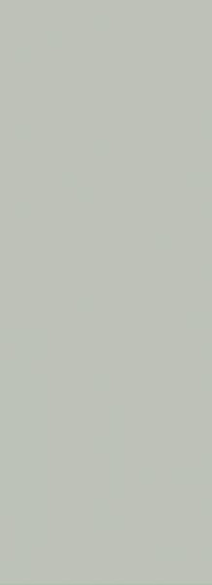 Paradyż Neve Light Grys Sciana Rekt. Polysk 29,8x89,8 G1