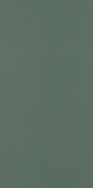 Paradyż Neve Creative Dark Green Sciana Mat 9,8x19,8 G1