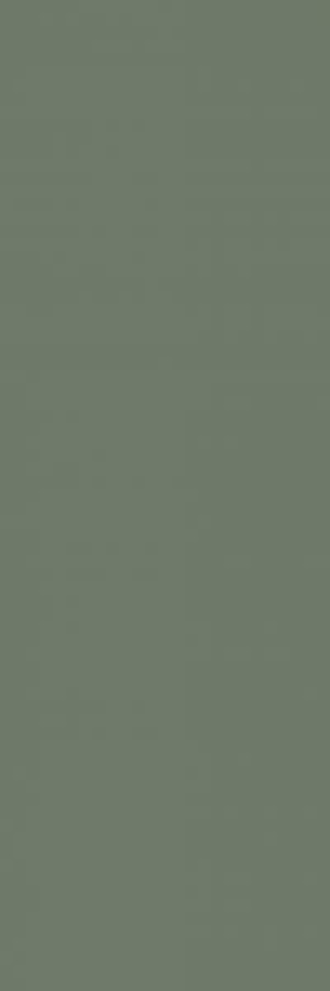 Paradyż Nightwish Green Sciana Rekt. 25x75 G1