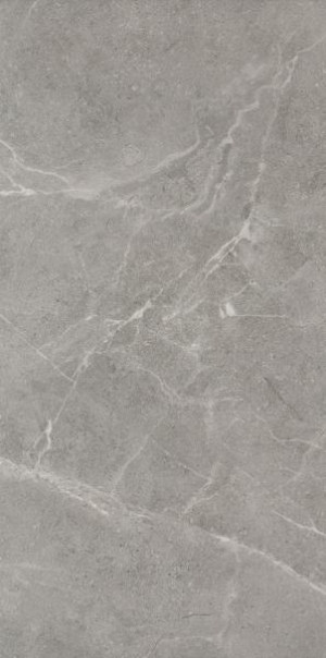 Paradyż Ibis Grys Gres Szkl. Mat. 30x60 G1