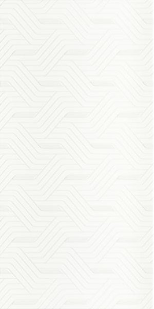 Paradyż Synergy Bianco Inserto 30x60 G1