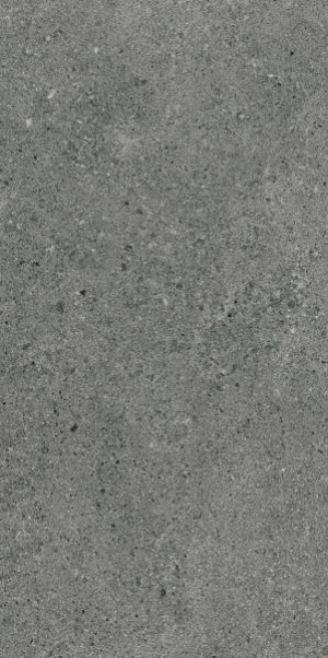 Paradyż Autrim Graphite Mat 29,8x59,8 G1