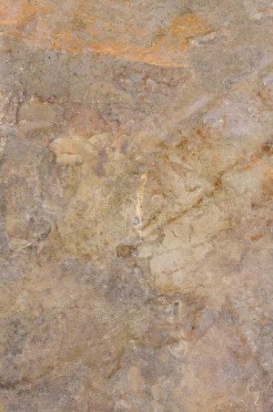 Paradyż Plyta Tarasowa Burlington Rust Gres Szkl. Rekt. Struktura 20mm Mat. 59,5x89,5 G1