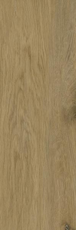 Paradyż Decorwood Honey Gres Szkl. Struktura Mat. 20x60 G1