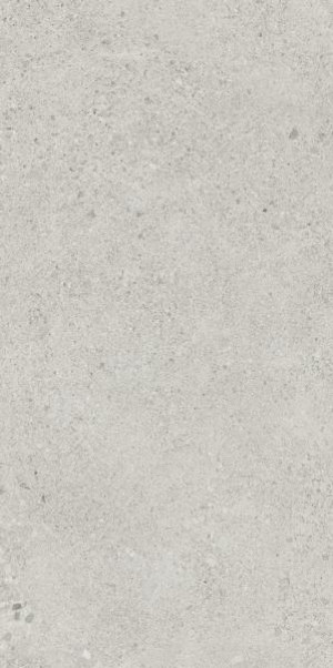 Paradyż Autrim Light Grey Mat 29,8x59,8 G1