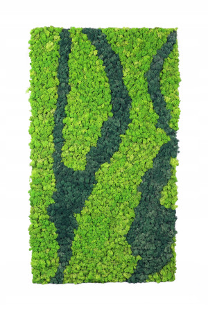Żywe Obrazy z Mchu Chrobotka 60 X 120cm