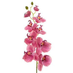 Storczyk Orchidea 85 cm