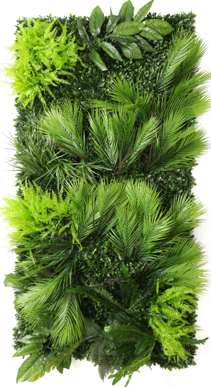 Zielona ściana Palm 50x 200 cm