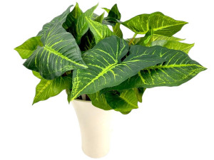 Egzotyczne liście bukiet 50 cm