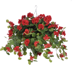 Sztuczny bukiet Pelargonii. Ozdobne Pnącze
