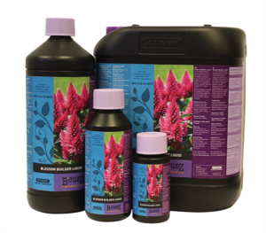 B'CUZZ BLOSSOM BUILDER 250ml/0,25L STYMULATOR ZWIĘKSZAJĄCY MASĘ I WIELKOŚC KWIATÓW, ATAMI