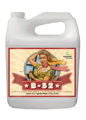 ADVANCED NUTRIENTS B-52 5L MIESZANKA WITAMINOWA 05484