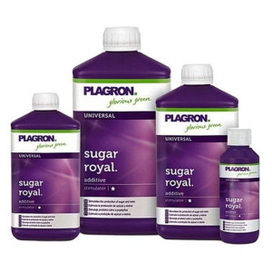 PLAGRON SUGAR ROYAL 100ML - SILNY BIOLOGICZNY STYMULATOR KWITNIENIA