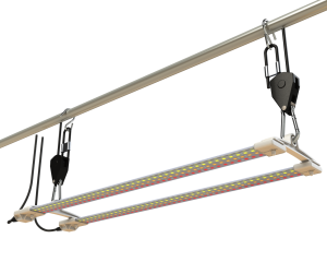 Lampa TNOLED 2x40W - kwitnienie
