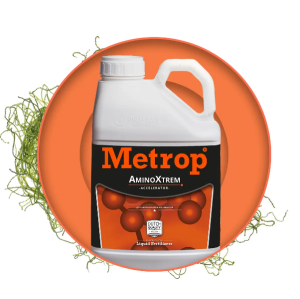 Metrop AminoXtrem - stymulator kwitnienia 5L