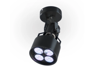 Natynkowy Zestaw VERTICANA® Żarówka LED + Wall Holder | Czarny | soczewka 80°