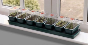 Samonawadniający propagator + 7 mini tac 76x18,5xh15cm Garland