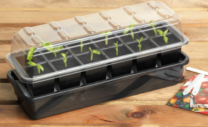 Samonawadniający propagator 12 sadzonek 37,5 x 13,5 x h16 cm Garland