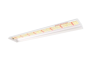 Spider farmer SF600 74W Osram 100cm - podłużna lampa LED do roślin (rekomendowana do sadzonek)