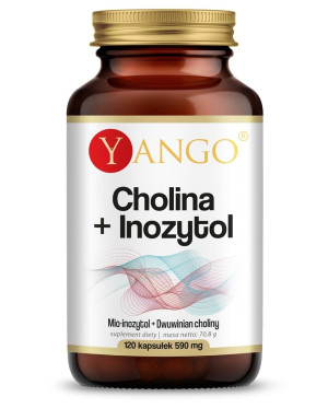 Yango Cholina + Inozytol 90 Kaps. - Wsparcie Wątroby I Pamięci