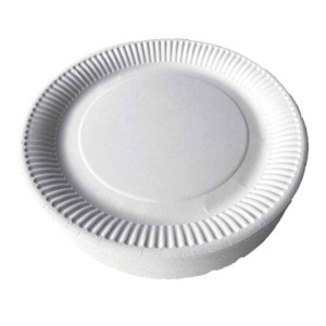 100 x Pappteller rund 23 cm weiß