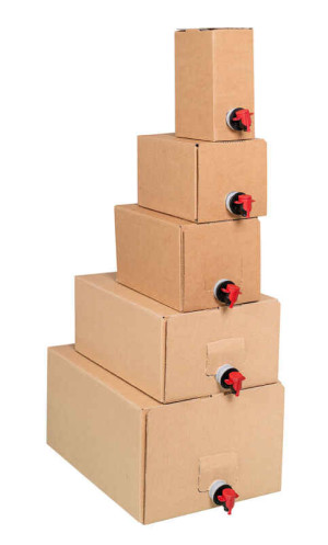 BaginBox Flüssigkeitskarton Set 3L