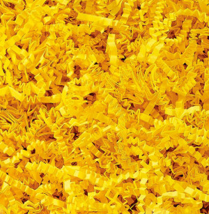 SizzlePak 10 kg YELLOW 511 353l
