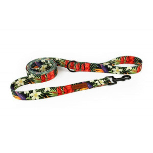 Smycz miejska dla psa TROPICAL 160cm 20mm