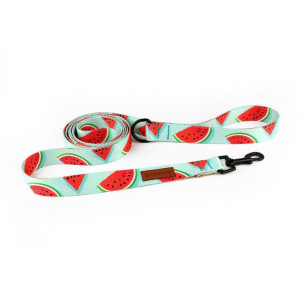 Smycz miejska dla psa WATERMELON 160cm 25mm