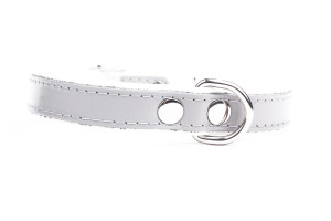 Obroża Bianco (M - 42-49 cm / 20 mm) Hectolove