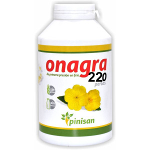 ESPUMADOR MATCHA BAMBÚ VAMINTER