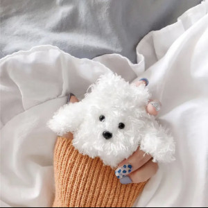 Hidzo Hoes Voor Apple's Airpods Pro - Hond - Wit