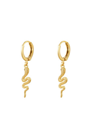 Hidzo oorbellen - Special Snake - Goudkleurig - Stainless steel