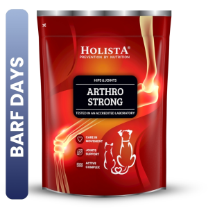 Arthro Strong 600g suplement na stawy dla psów 30% TANIEJ