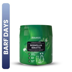 HOLISTA Boswellia Seratta dla psa i kota na stawy 100g 30% TANIEJ