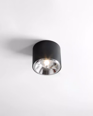 Aldex stropné svietidlo/plafón BOT 1 BLACK 1047PL_G