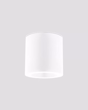 Nowodvorski CEARA 10715 WHITE IP44 stropné svietidlo / spot