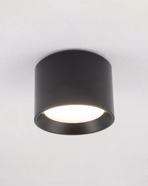Stropné svietidlo Nowodvorski BOL BLACK 10484 IP54