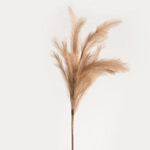 Gałązka sztuczna CANNE beżowa 100 cm