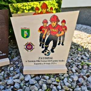 Statuetka personalizowana z sklejki za udział w zawodach