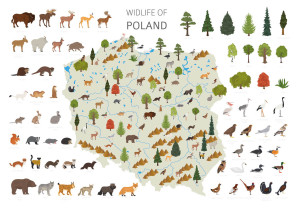 Wildlife of Poland