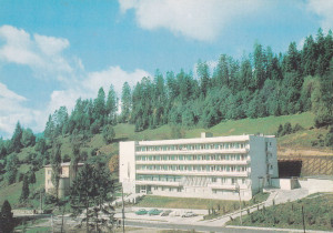 Krynica
