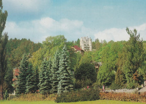 Krynica